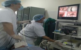 Bệnh viện đa khoa tỉnh: gắp thành công con vắt trong thanh quản bệnh nhân
