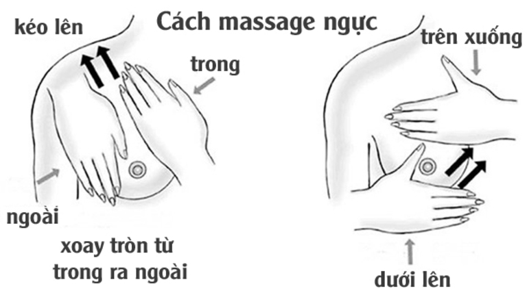 Sau khi chườm ngực với lá đinh lăng, bạn nên massage nhẹ để tuyến sữa lưu thông dễ dàng