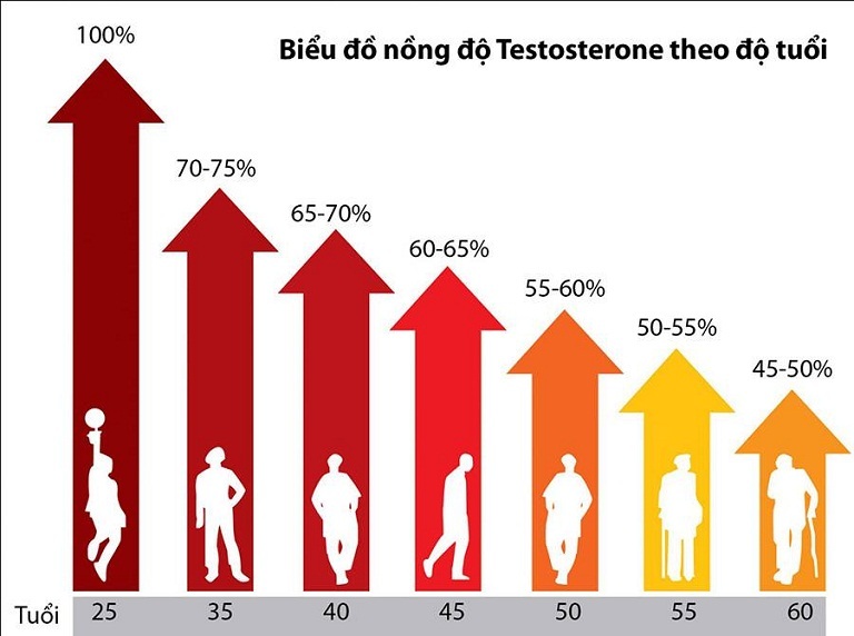 Nồng độ hormone testosterone suy giảm theo độ tuổi. Đây đồng thời cũng là nguyên nhân vì sao càng lớn tuổi thì nam giới càng dễ bị yếu sinh lý