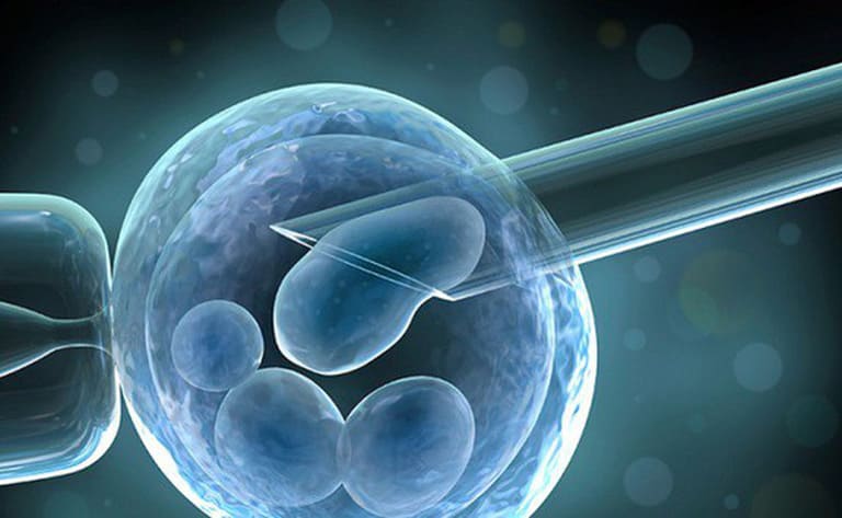 Sẽ có nhiều phôi được tạo thành nhờ kỹ thuật IVF nhưng chỉ có 1 phôi được cấy vào tử cung. Số còn lại sẽ được trữ đông