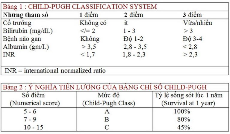 Bảng tiêu chuẩn Child-pugh