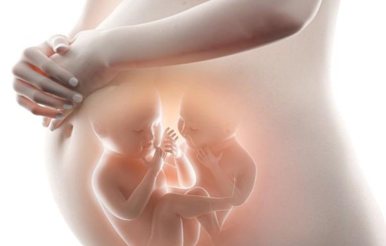Rủi ro mang đa thai khi làm IUI - GOTOWOMEN TW3