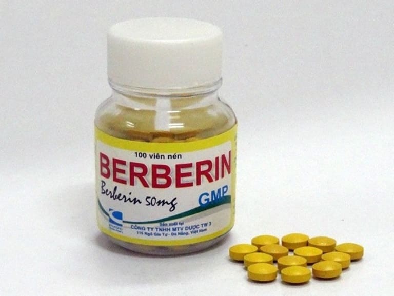 Berberin là thuốc chữa kiết lỵ và các tình trạng nhiễm khuẩn ở đường ruột.