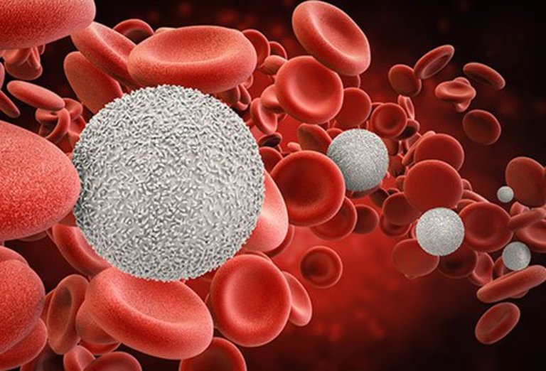 Xét nghiệm tế bào ngoại vi trong máu vừa xác định được tình trạng viêm vừa đánh giá được tổng thể sức khỏe của người bệnh.