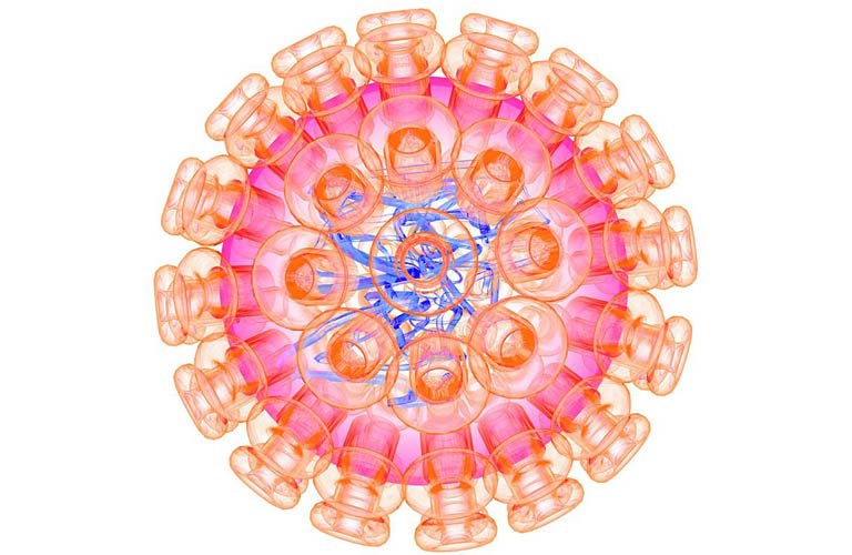 Virus Herpes simplex 1