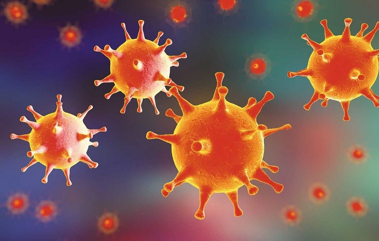 Virus là nguyên nhân chính gây ra bệnh viêm tiểu phế quản bội nhiễm