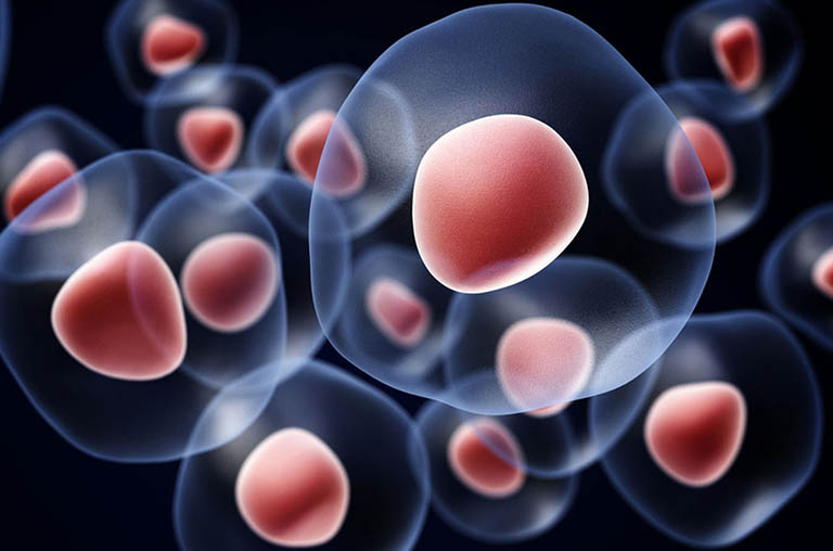 Chữa viêm gan B bằng tế bào gốc là gì?
