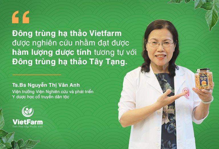 TS BS Nguyễn Thị Vân Anh khẳng định chất lượng của đông trùng hạ thảo Vietfarm