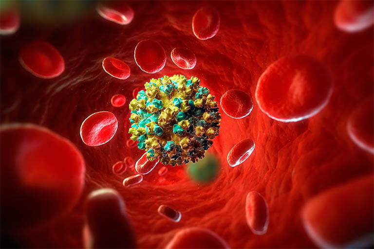 Viêm gan B là bệnh truyền nhiễm do một loại virus có trong gan gây ra