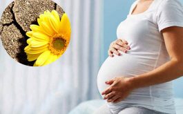 Khi mang thai nội tiết tố thay đổi khiến nhiều chị em bị khô vùng kín