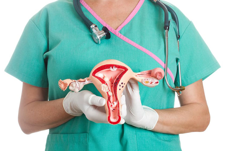 Nắm rõ một số thông tin cơ bản của bệnh sẽ giúp phụ em phụ nữ có những biện pháp điều trị và phòng ngừa bệnh u xơ tử cung hiệu quả