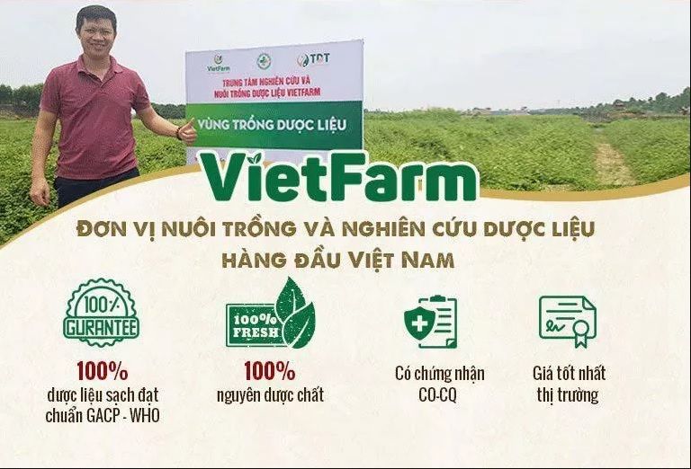 Vietfarm sở hữu những vườn trồng dược liệu đảm bảo đạt chuẩn GACP - WHOVietfarm sở hữu những vườn trồng dược liệu đảm bảo đạt chuẩn GACP - WHO