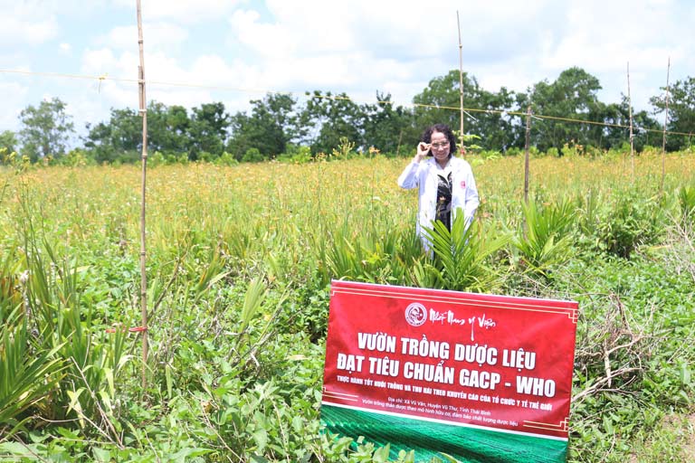 Trung tâm Da liễu Đông y Việt Nam chú trọng phát triển các vườn dược liệu sạch để nâng cao chất lượng bài thuốc